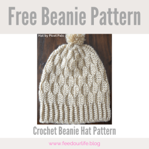 free crochet beanie hat pattern