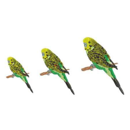 Free Budgie Bird machine embroidery design